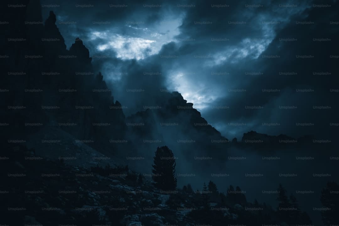 http://n.sinaimg.cn/default/1_img/upload/3933d981/751/w930h621/20180316/VNIi-fyshfuq4643502.jpg?zdy
